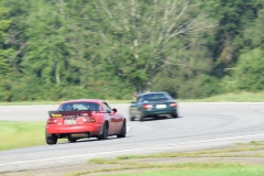 DSC_0351